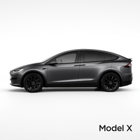 Model X